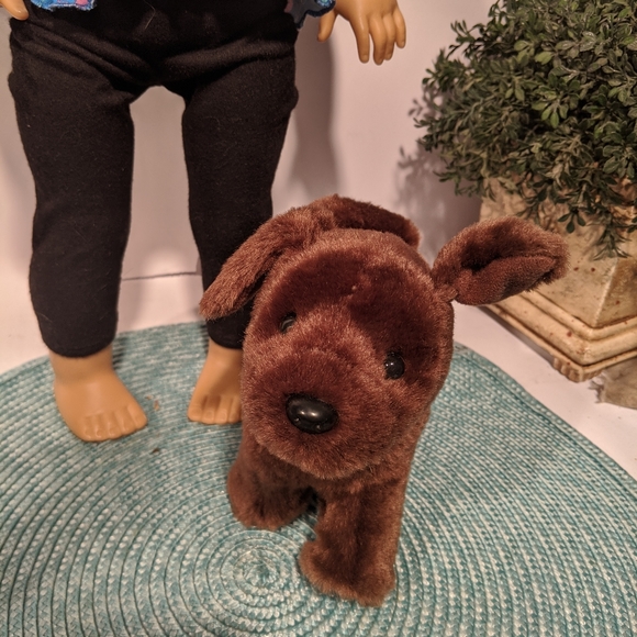 American Girl Doll and Dog Puppy - Picture 2 of 7